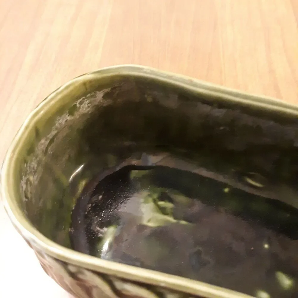 Vintage Green Ceramic Pottery Planter Raised Fruit Motif Mid Century Modern